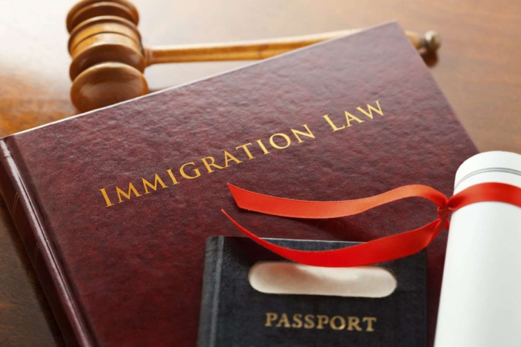 5 Key Legal Principles in Immigration Law: Understanding the Foundations of Cross-Jurisdictional Policies